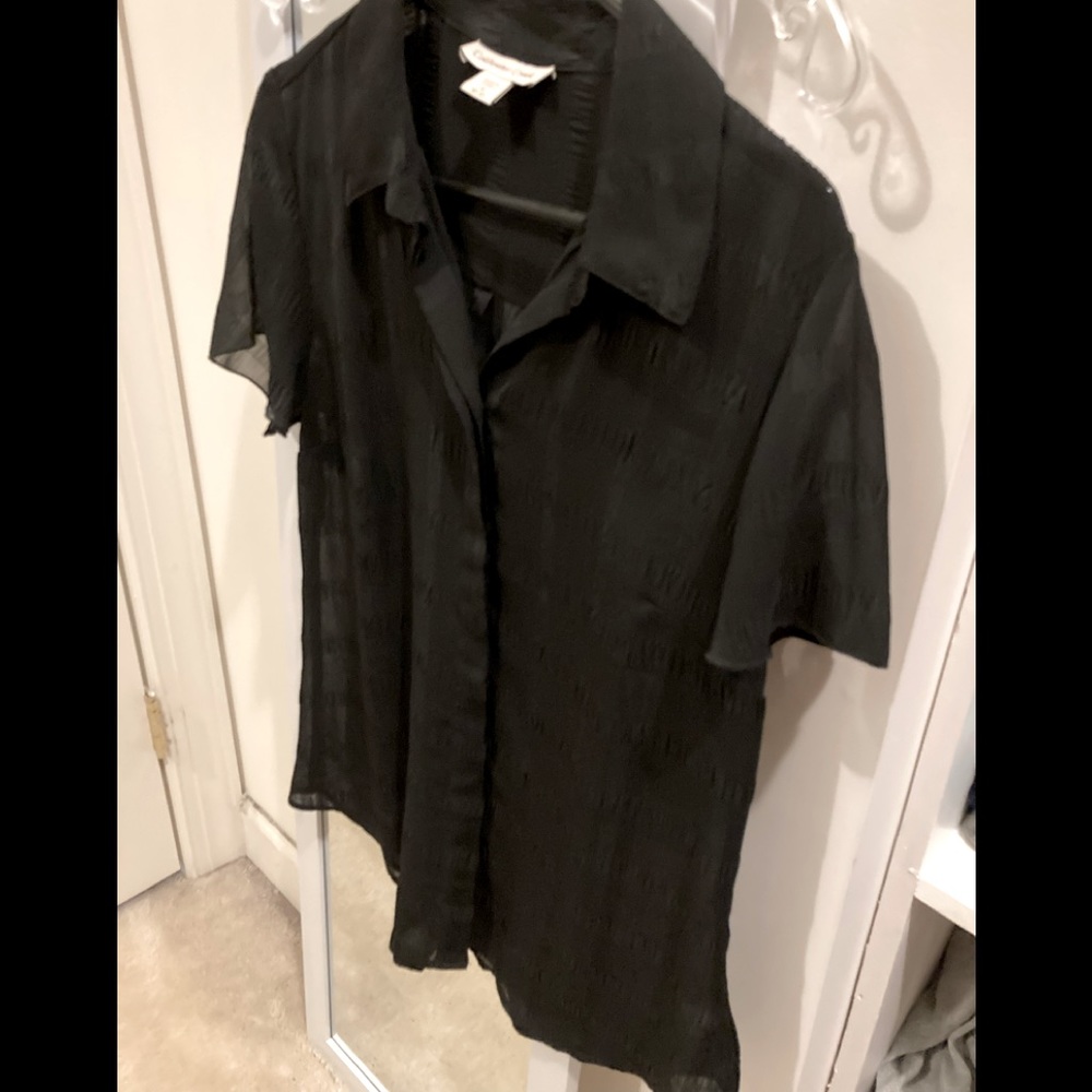 Coldwater Creek dressy sheer blouse